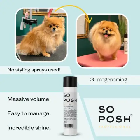 Volumen hundeshampoo So Posh Professional I'm So Puffy Shampoo