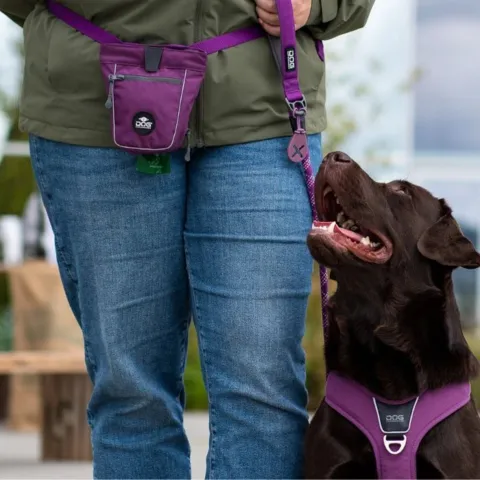Dog Copenhagen Go Explore™ Godbidstaske gør gåturen med hunden meget mere overskuelig