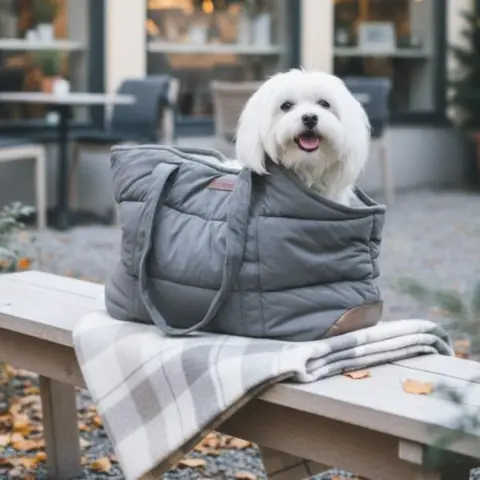 Perfekt hundetaske til strøg eller café besøg med din vuf