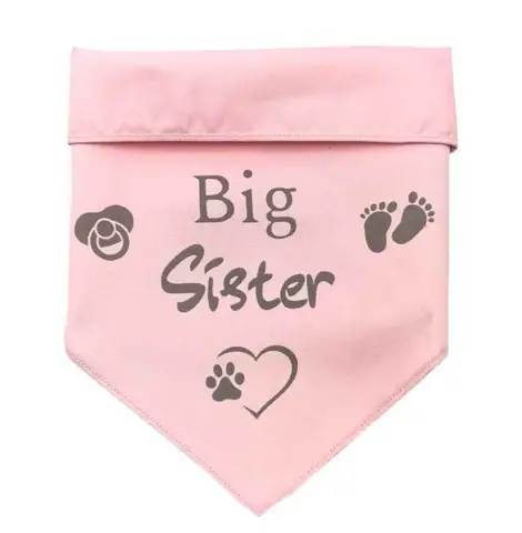 Ollipet "Big sister" Bandana