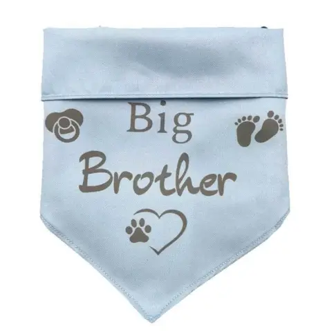 Ollipet "Big brother" Bandana