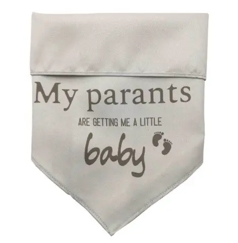 Ollipet "My parents are getting me a little baby" bandana
