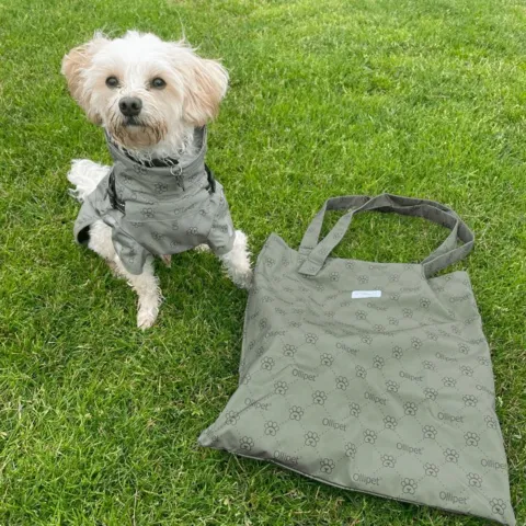 Ollipet Aqua Explorer De Luxe Regnjakke og Shopping net z1