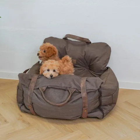 Ollipet Karma Deluxe Autokurv 2i1 til hunde har nemt plads til to små hundehvalpe