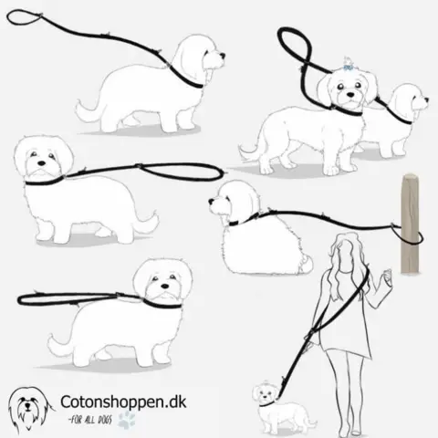 En multifunktionel hundesnor fra Ollipet der kan bruges på alle de viste måder
