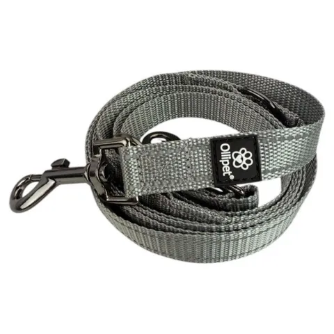 Ollipet Arctic Explorer | Refleks Dressurline