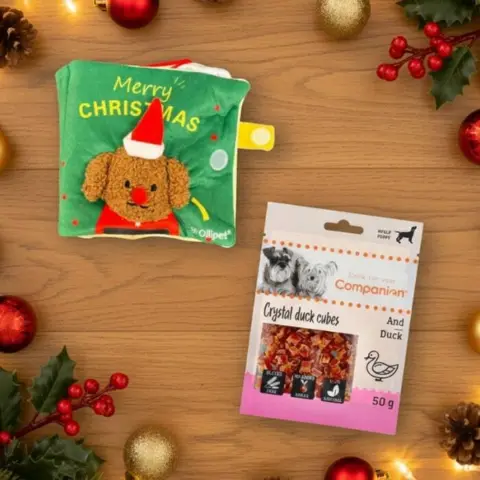 Stimuler din hund mentalt og kom i julestemning samtidigt