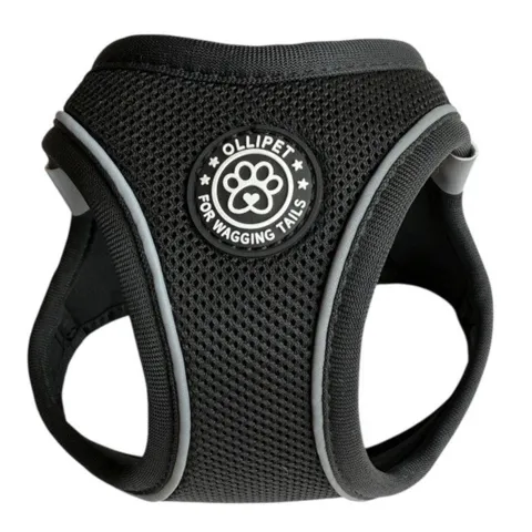 Ollipet For Wagging Tails | Step in Sele
