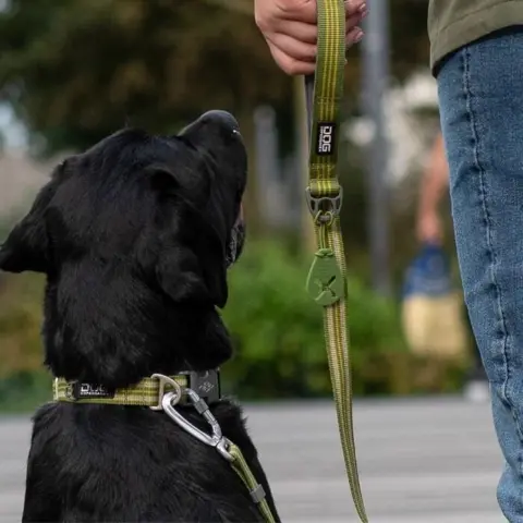 Det perfekte matchende hundeudstyr til gåturen fra Dog Copenhagen