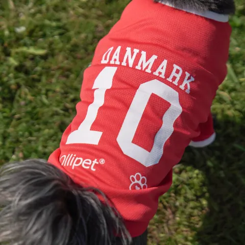 Ollipet Sports T-Shirt