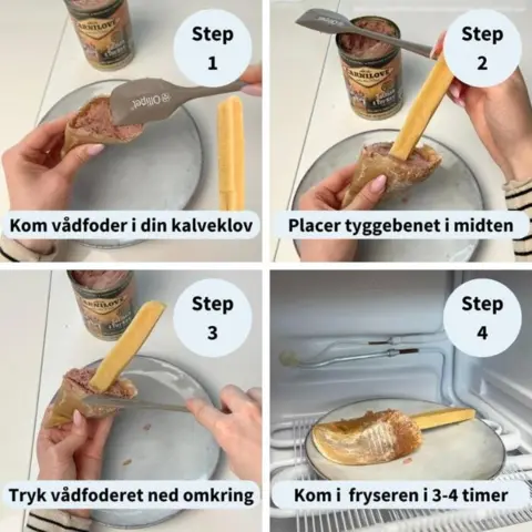 Guide til hvordan du laver den lækre is som er perfekt aktivering af din hvalp.