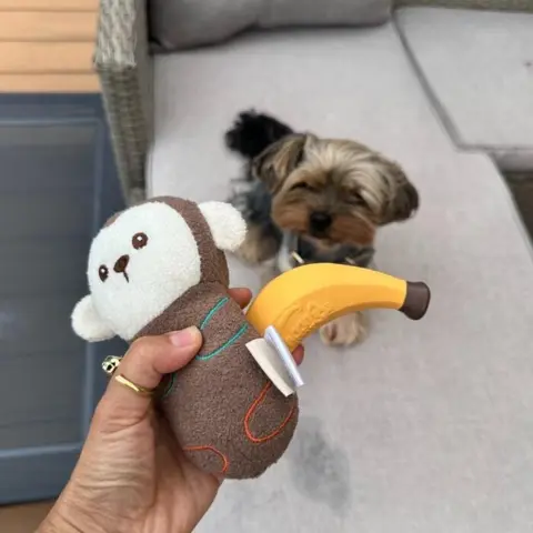 Sjovt hundelegetøj med både abe og banan.
