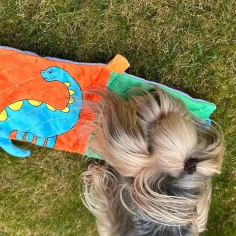 All for paws hundelegetøj er både sjovt og stimulerende.
