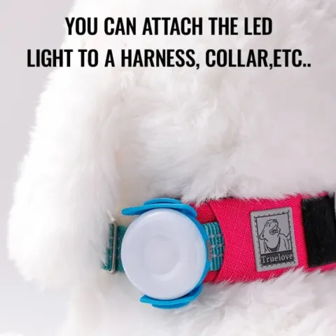 TrueLove LED-lygte til sele og halsbånd – passer til stropper op til 2,5 cm bredde