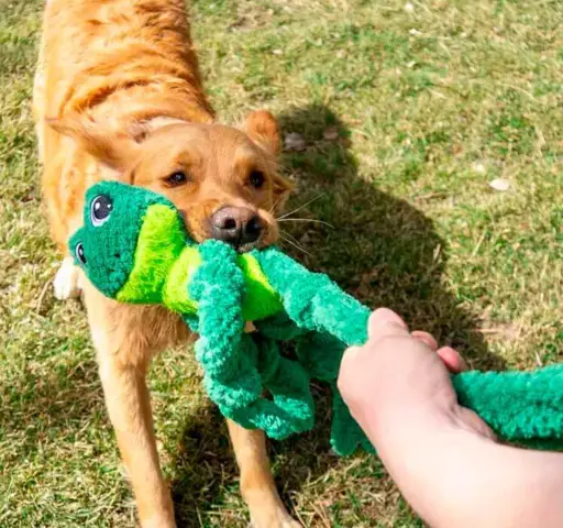 KONG Knots Frog XL