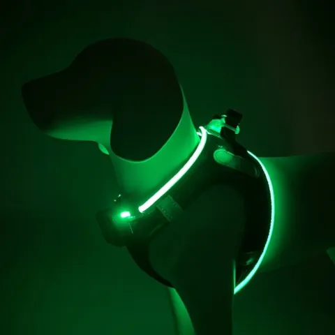 Hundesele med step-in funktion og lys