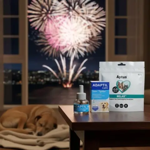 Aptus Relax og Adaptil giver hunden en tryg nytårsaften