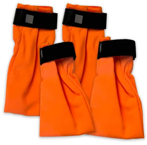 Companion hundesokker | Orange