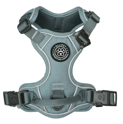 Wagging Tails Adventure Hundesele | Clody Blue