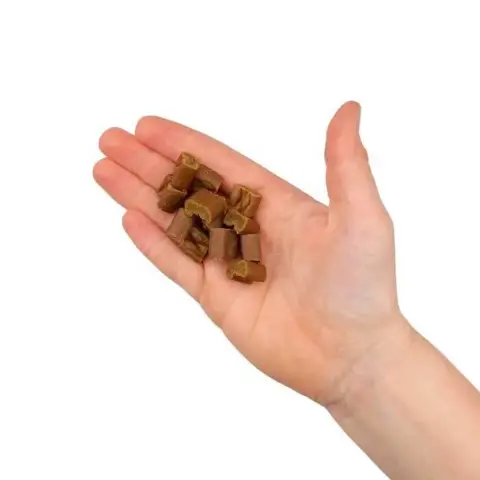 Dr. Clauder's Trainee Snacks sild – bløde hundegodbidder