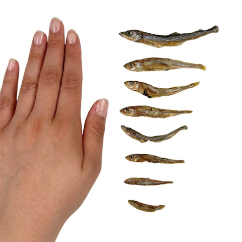 Ozami Dog Snack Dried Smelt 50g med små tørrede fisk i forskellige størrelser