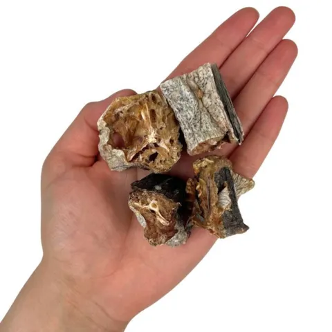 Naturlig hundesnack med tørret kummel fra Ozami