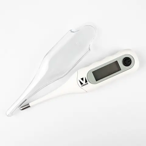 Digitalt Termometer