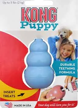 KONG Puppy