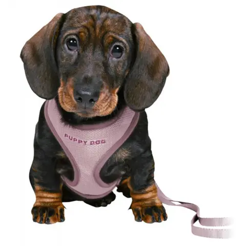 Trixie Puppy Dog hvalpesele og line | Lyselilla