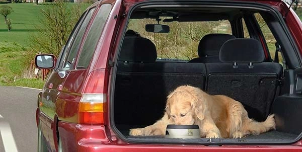RoadRefresher