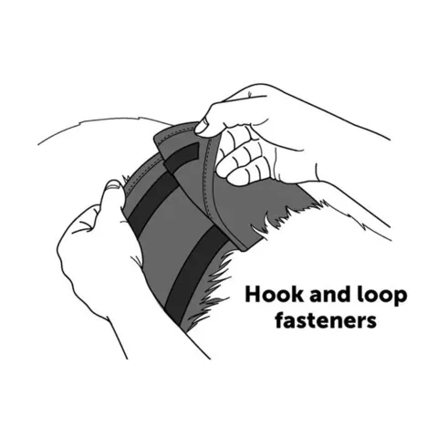 Gentleman Wraps | buks til hanhunde med velcroluk