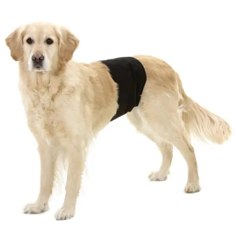 Gentleman Wraps | buks til hanhunde med velcroluk