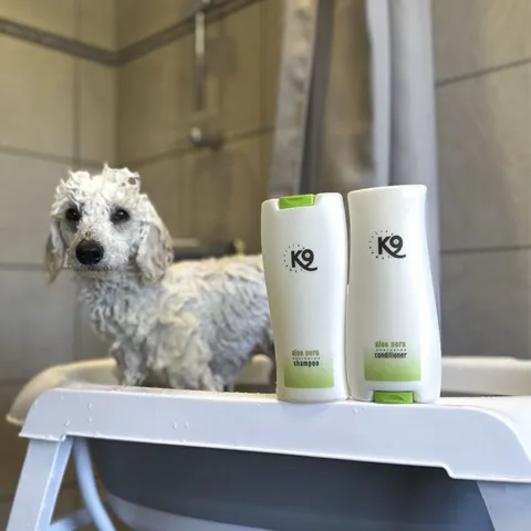 K9 Competition | Aloe Vera Shampoo