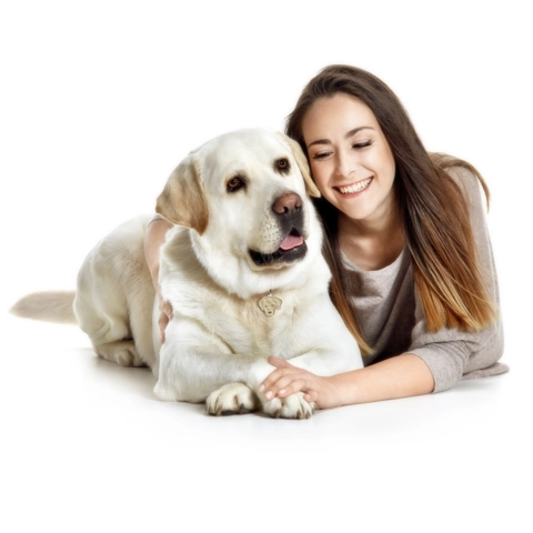 My Family | Hundetegn Labrador