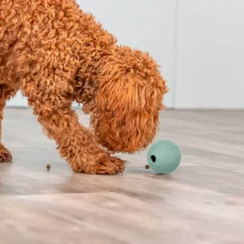 Snack Ball fra Trixie
