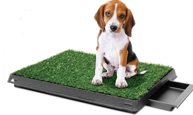 Hundetoilet fra Cotonshoppen