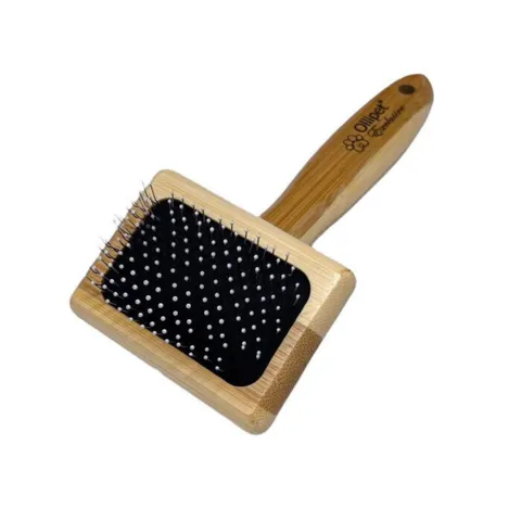 Ollipet Exclusive Bambus Karte | Small