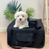 Ollipet Bilsæde til Hund I sort