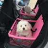 Autosæde til små hunde | Sort m. Poter