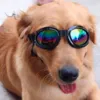 SportyDog hundesolbriller