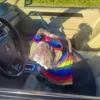 SportyDog hundesolbriller