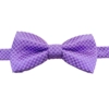 Lilla butterfly til hunde