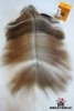 Doggy Dolly Silk coat