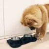 Ollipet Bone Bowls | Large