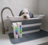 Ollipet foldbar badekar med bundprop