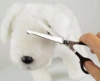 Ollipet Basic buet saks 6" | klipning ved øjnene