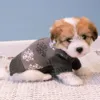Grå hundesweater med snefnug - Mørke grå model