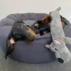 Aflang plyshund Karo i Grå | Odji Gravhund