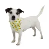 Ollipet Frugt Bandana I ananas