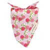 Ollipet Frugt Bandana I Fersken
